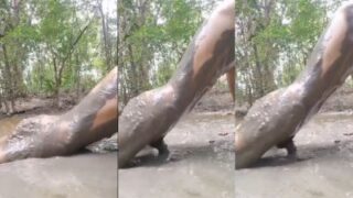 Filthy and alone, this desperate cock-slut gets down and dirty, pounding in the mud for all to see.