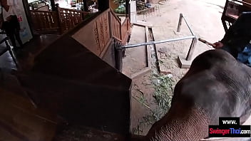 Hungry teen lovers get wild with trunk play before steamy sex