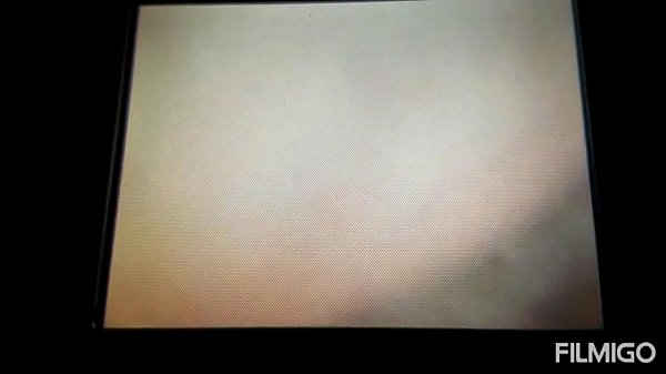 Gushing Creampies and Explosive Cumshots (HUGE LOADS!!)