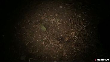 Killergram – A Classy Slut Goes On A Dogging Mission And Takes Every Anonymous Cock Raw In A Wild Outdoor Fuckfest