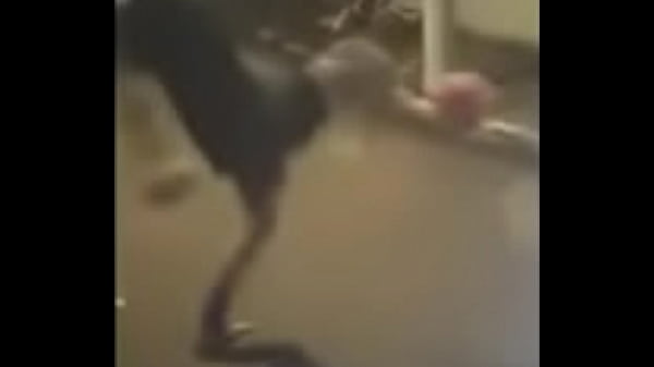 China Jogando O Que Sabe, Mostrando O Que Tem De Melhor, Com O Corpo Todo Suado E Molhado De Tesão.