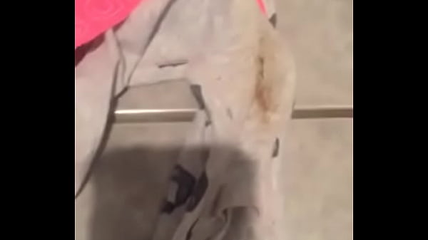 Desi Desi, Teri Chudai Ka Maza Hi Kuch Aur Hai